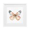 Stupell Industries Warm Watercolor Butterfly Framed Print Under Glass, design by Kim Allen